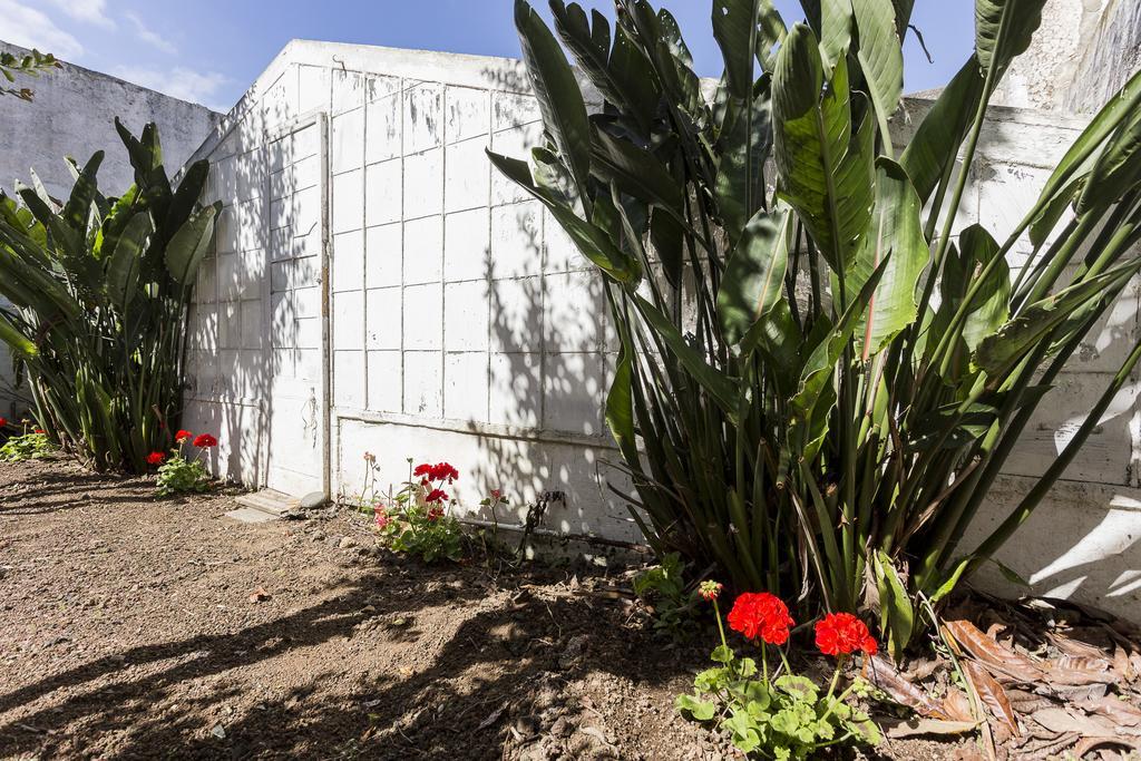 Family House Garden Villa Ponta Delgada Szoba fotó
